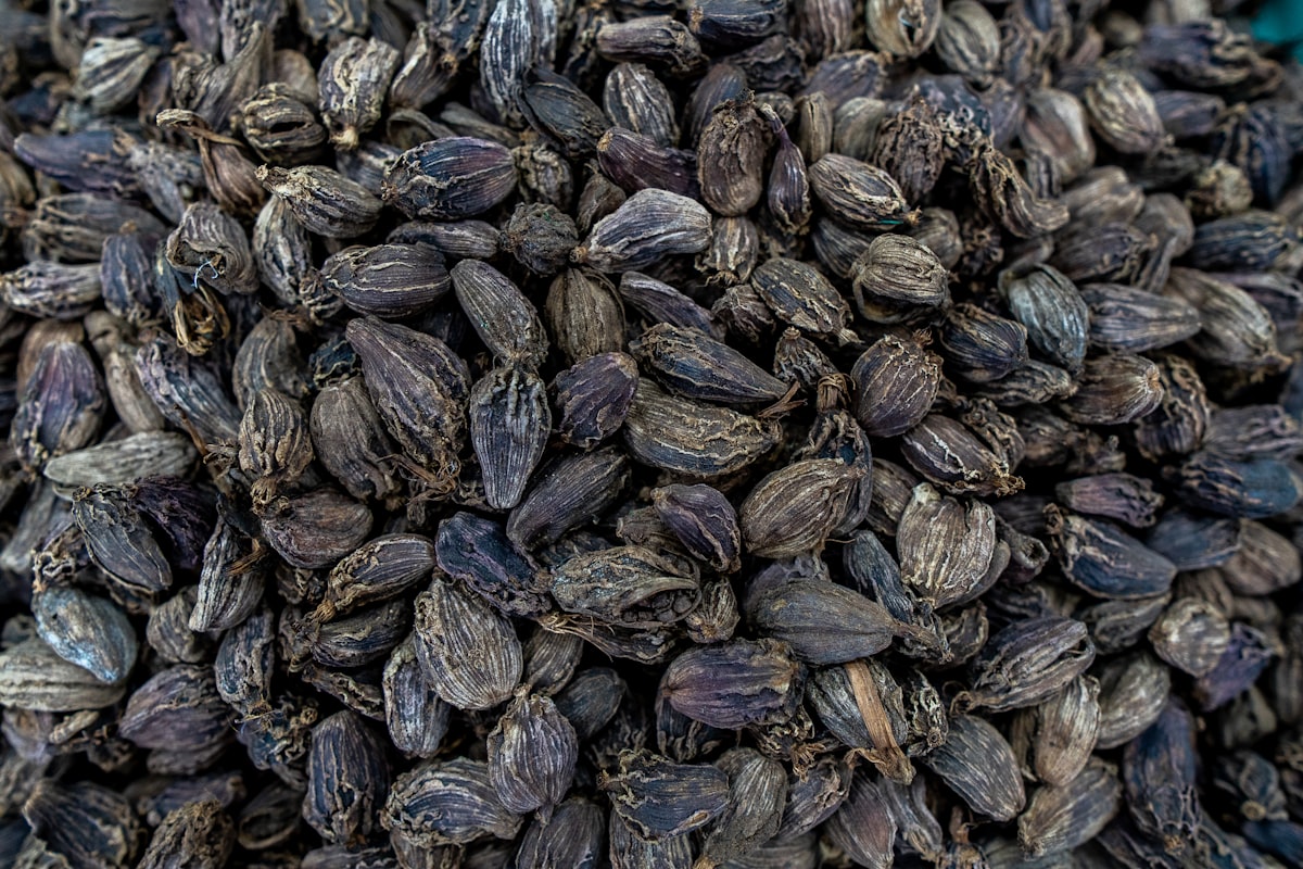 Black Cardamom (Badi Elaichi)