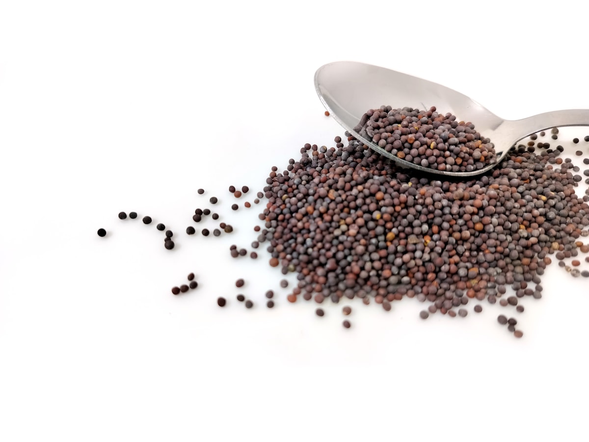 Black Mustard Seeds