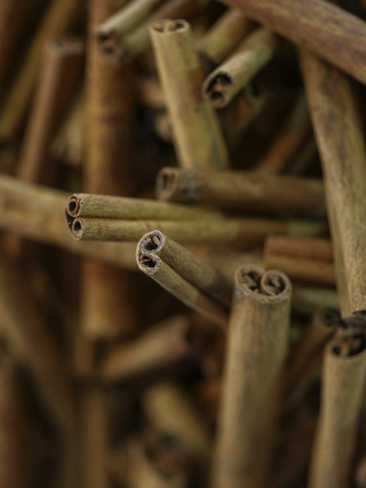 Cinnamon (Cassia & True Cinnamon)